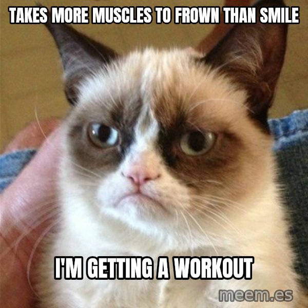 Grumpy Cat  meme: Takes more muscles to frown than smile / I'm getting a workout
