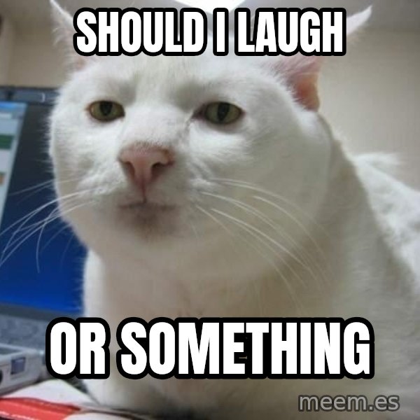 Serious Cat meme: should i laugh / Or something