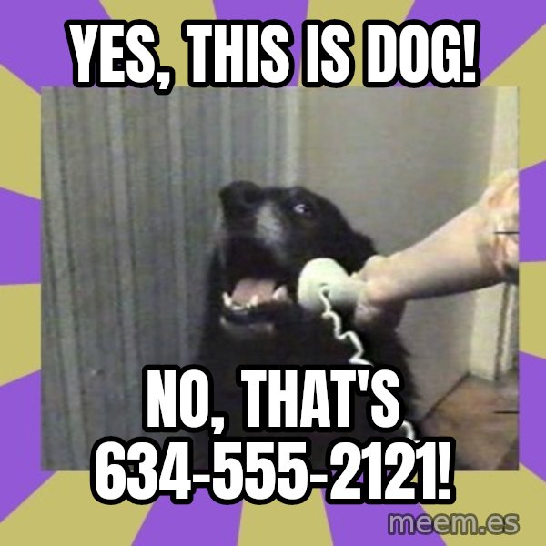 Yes, this is dog! meme: YES, THIS IS DOG! / NO, THAT'S 634-555-2121!