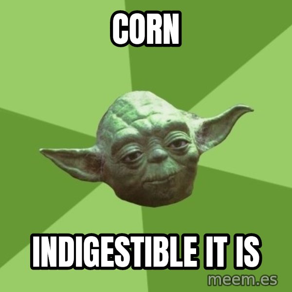 Advice Yoda Gives meme: corn / indigestible it is