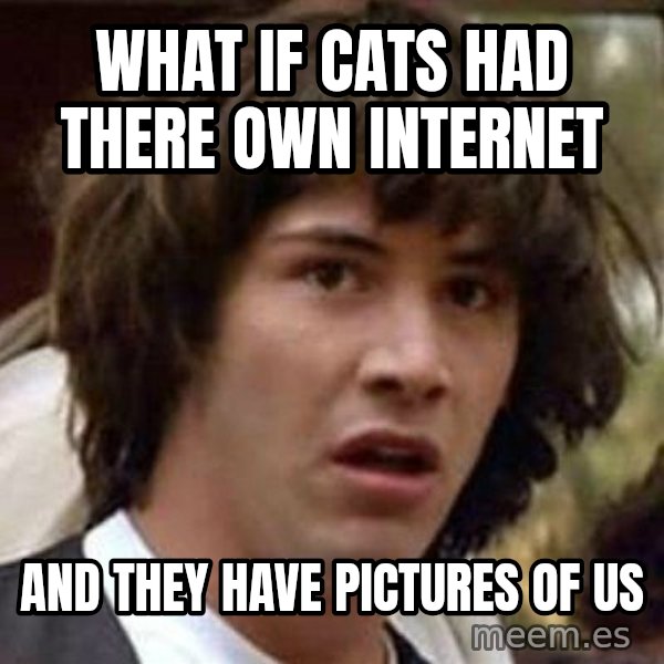 Conspiracy Keanu meme: what if cats had there own internet / and they have pictures of us