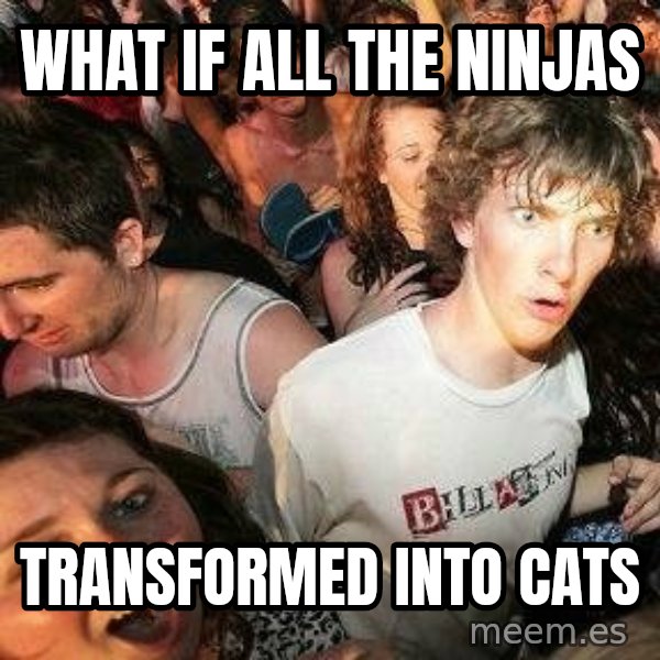 -Sudden Clarity Clarence meme: What if all the ninjas / Transformed into cats