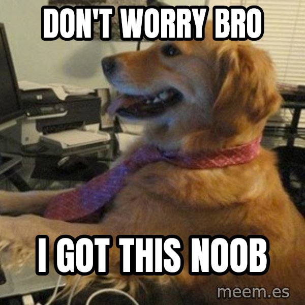 I have no idea what I'm doing - Dog with Tie meme: DON'T WORRY BRO / I GOT THIS NOOB