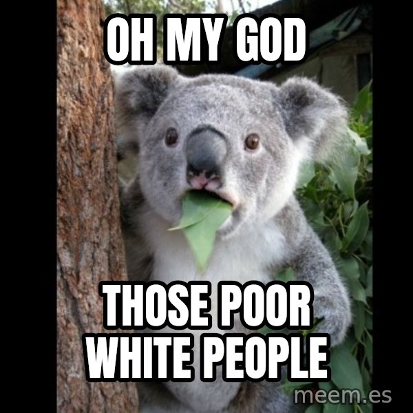 Koala can't believe it meme: Oh my god / Those poor white people