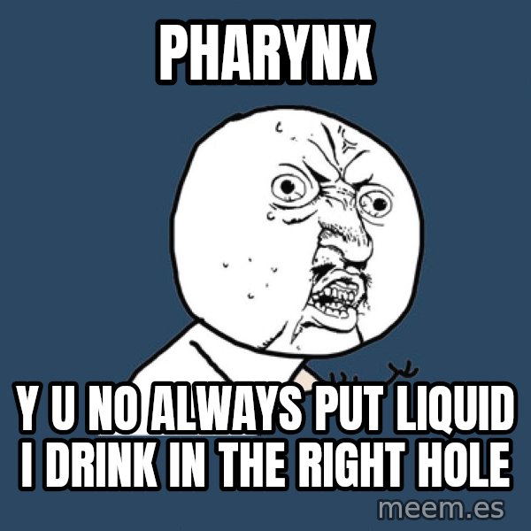Y U No meme: pharynx / y u no always put liquid I drink in the right hole