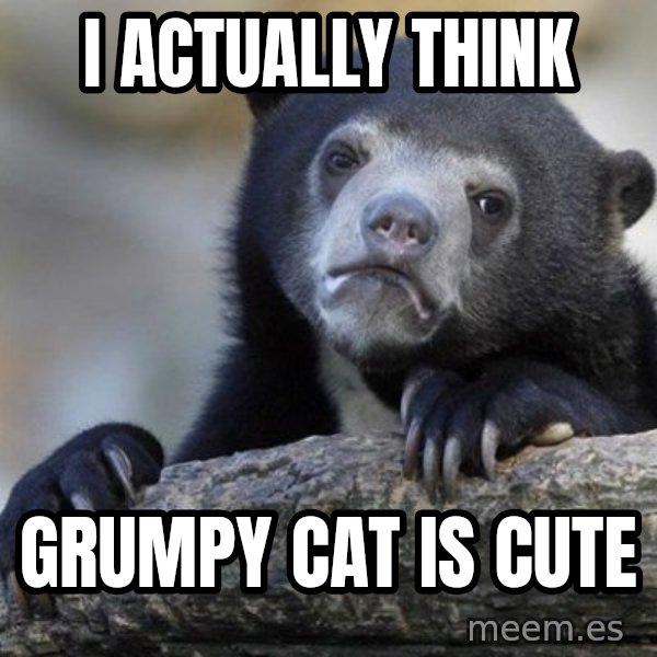 Confession Bear meme: I actually think / grumpy cat is cute