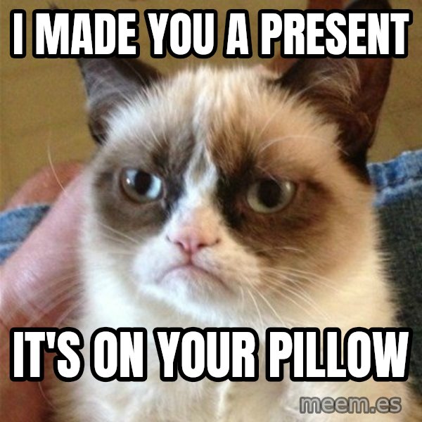Grumpy Cat  meme: i made you a present / it's on your pillow