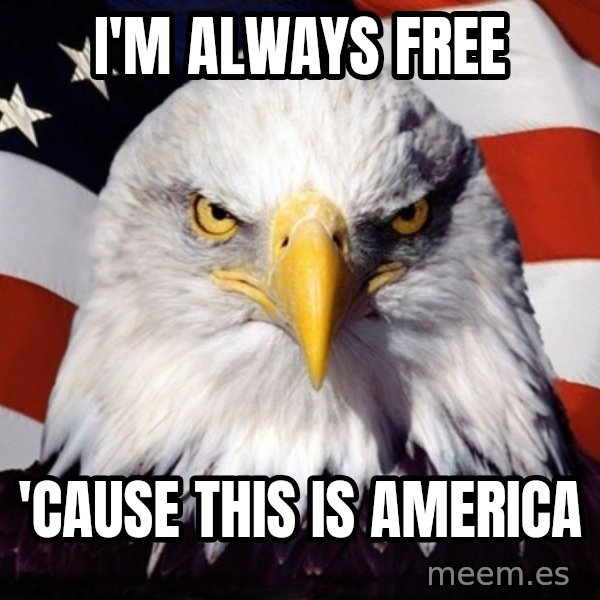 American Pride Eagle meme: I'm always free / 'Cause this is America