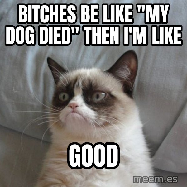 Grumpy cat good meme: BITCHES BE LIKE "MY DOG DIED" THEN I'M LIKE / GOOD