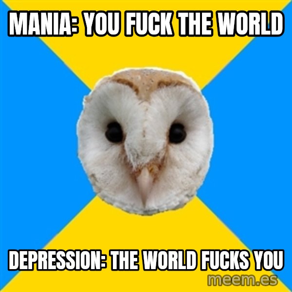 Bipolar Owl meme: MANIA: YOU FUCK THE WORLD / DEPRESSION: THE wORLD fUcks you