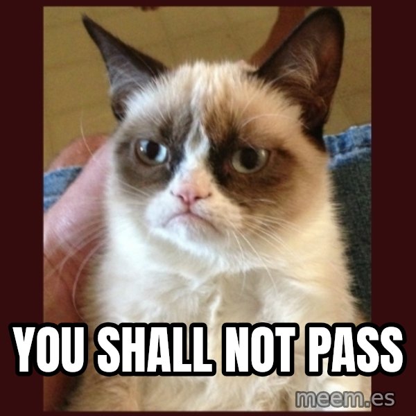 Grumpy Cat  meme: You shall not pass