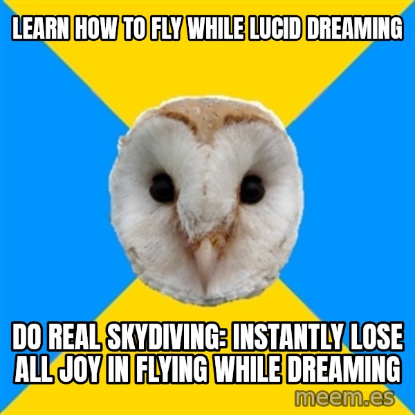 Bipolar Owl meme: Learn how to fly while Lucid Dreaming / Do real skydiving: instantly lose all joy in Flying while Dreaming