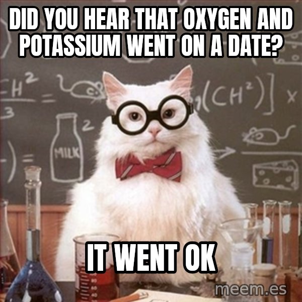 Science Cat meme: Did you hear that Oxygen and Potassium went on a Date? / It Went OK
