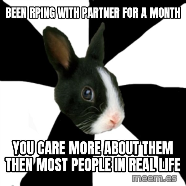 Roleplaying Rabbit meme: Been RPing with partner for a month / you care more about them then most people in real life