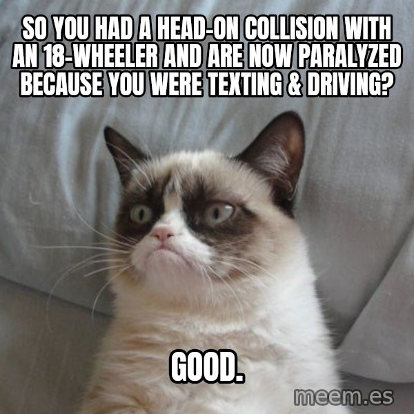 Grumpy cat good meme: So you had a head-on collision with an 18-wheeler and are now paralyzed because you were texting & driving? / GOOD.
