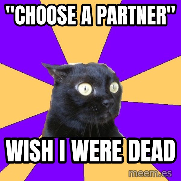 Anxiety Cat meme: "Choose a partner" / Wish i were dead