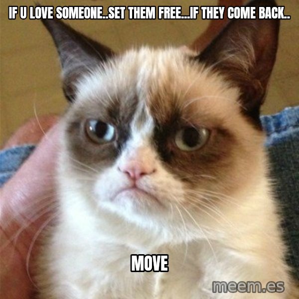 Grumpy Cat  meme: if u love someone..set them free...if they come back.. / move