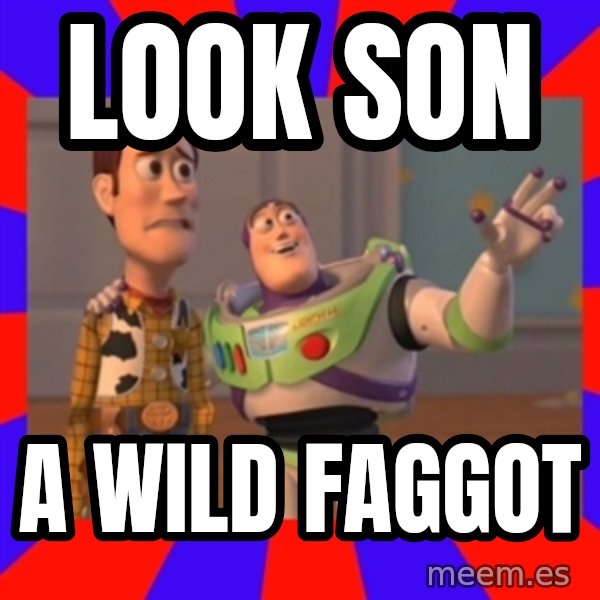 X, X Everywhere  meme: LOOK SON / A WILD FAGGOT