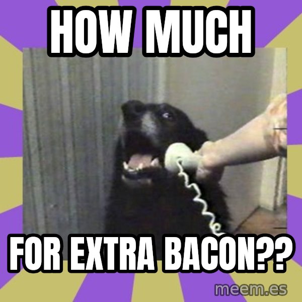 Yes, this is dog! meme: HOW MUCH / FOR EXTRA BACON??