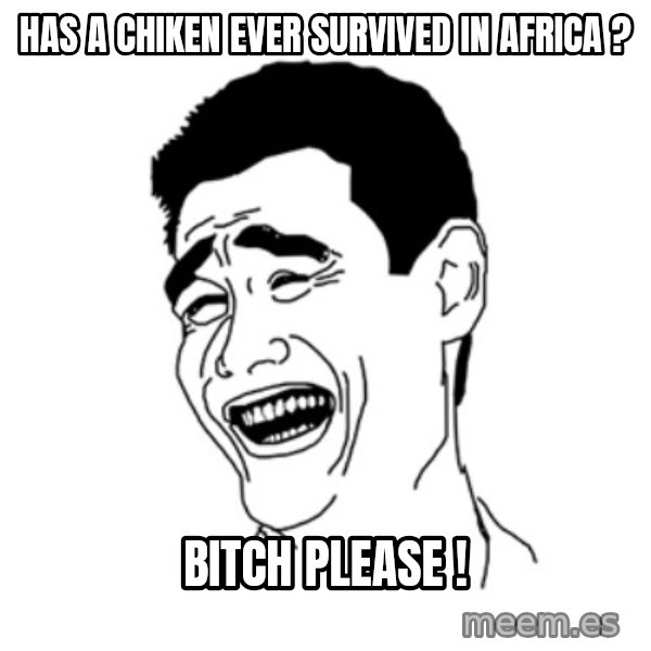 FU*CK THAT GUY meme: HAS A CHIKEN EVER SURVIVED IN AFRICA ? / BITCH PLEASE !