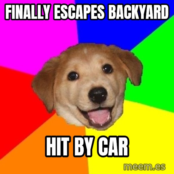 Advice Dog meme: Finally escapes backyard / hit by car
