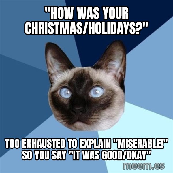 Chronic Illness Cat meme: "how was your christmas/holidays?" / too exhausted to explain "miserable!" so you say "it was good/okay"