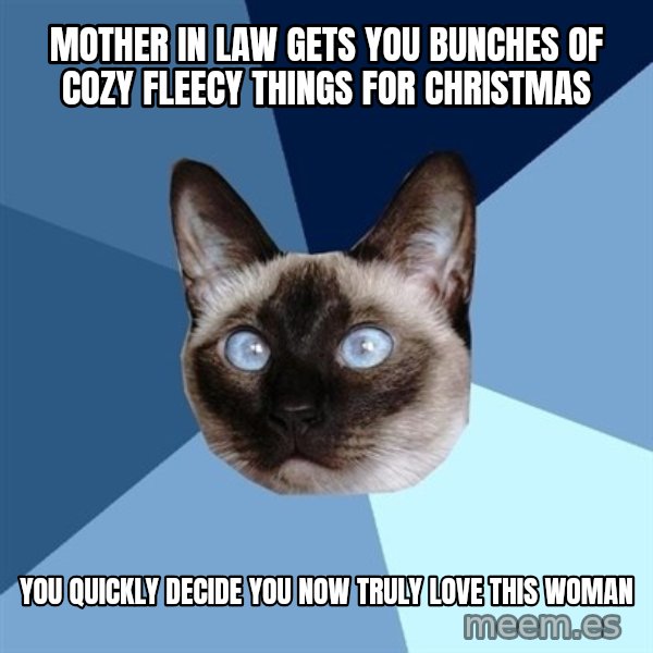 Chronic Illness Cat meme: Mother in law gets you bunches of cozy fleecy things for christmas / you quickly decide you now truly love this woman
