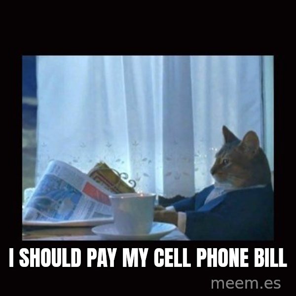 i should buy a boat cat meme: I should pay my cell phone bill