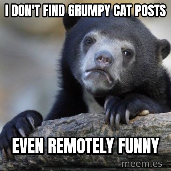 Confession Bear meme: I don't find Grumpy cat posts / even remotely funny