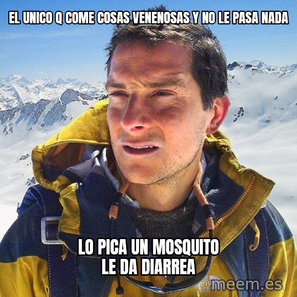 Bear Grylls Loneliness meme: el unico q come cosas venenosas y no le pasa nada / LO PICA UN MOSQUITO LE DA diarrea