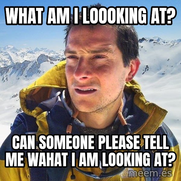 Bear Grylls Loneliness meme: what am i loooking at? / can someone please tell me wahat i am looking at?