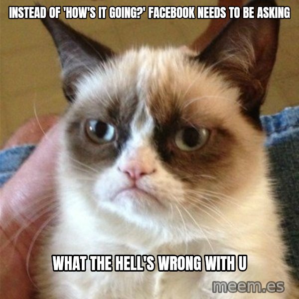 Grumpy Cat  meme: instead of 'how's it going?' facebook needs to be asking / what the hell's wrong with u