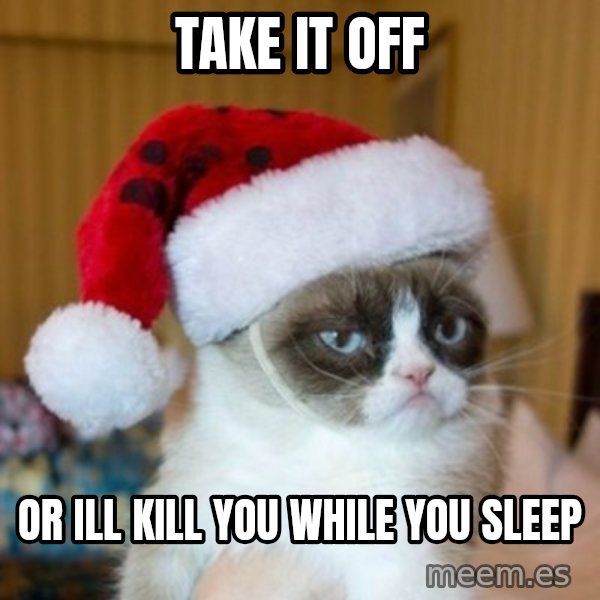 Grumpy Cat Santa Hat meme: TAKE IT OFF / OR ILL KILL YOU WHILE YOU SLEEP
