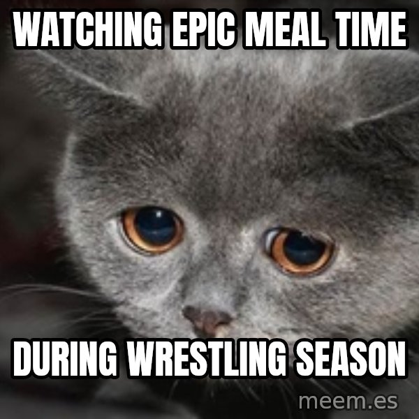 Sadcat meme: watching epic meal time / DURING wrestling season