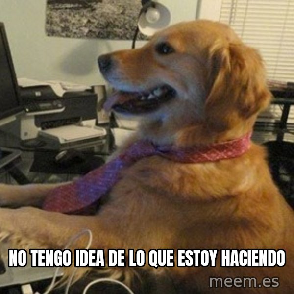I have no idea what I'm doing - Dog with Tie meme: NO TENGO IDEA DE LO QUE ESTOY HACIENDO