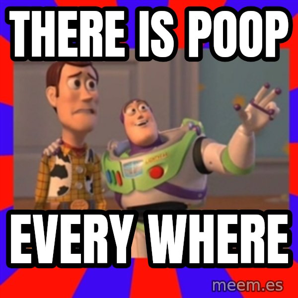 X, X Everywhere  meme: THERE IS POOP / EVERY WHERE
