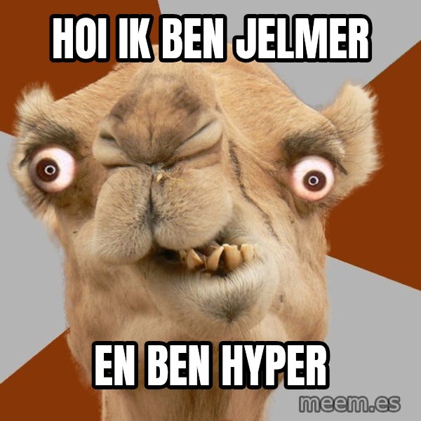 Crazy Camel lol meme: HOI IK  BEN JELMER / EN BEN HYPER