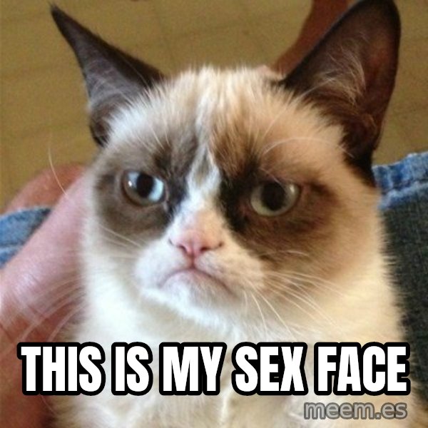 Grumpy Cat  meme: This is my sex face
