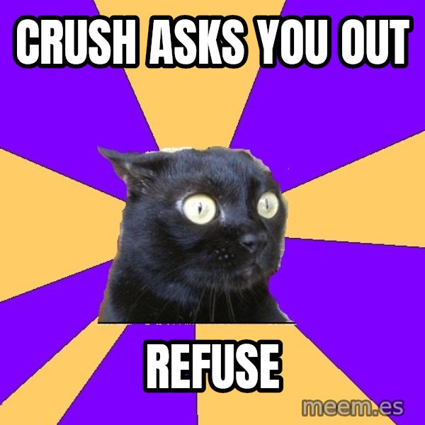 Anxiety Cat meme: CRUSH ASKS YOU OUT / REFUSE