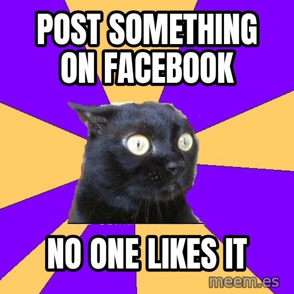 Anxiety Cat meme: POST SOMETHING ON FACEBOOK / no one likes it
