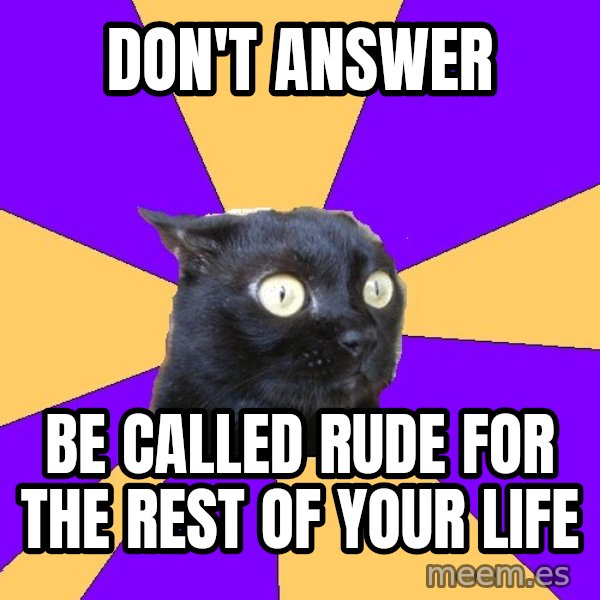 Anxiety Cat meme: DON't answer / be called rude for the rest of your life