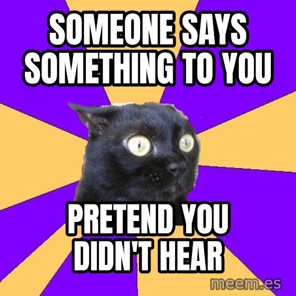Anxiety Cat meme: Someone says something to you / pretend you didn't hear