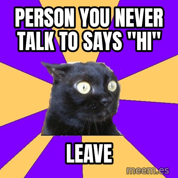Anxiety Cat meme: person you never talk to says "hi" / leave