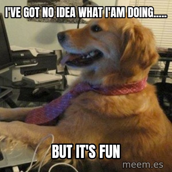I have no idea what I'm doing - Dog with Tie meme: I'VE GOT NO IDEA WHAT I'AM DOING..... / BUT IT'S FUN