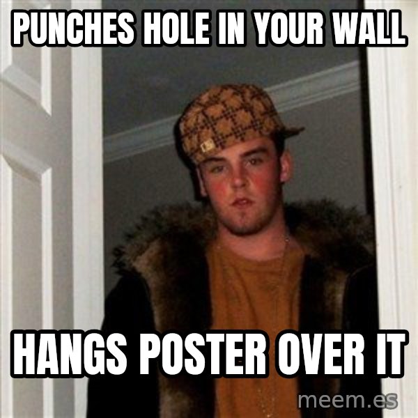 Scumbag Steve meme: Punches hole in your wall / hangs poster over it