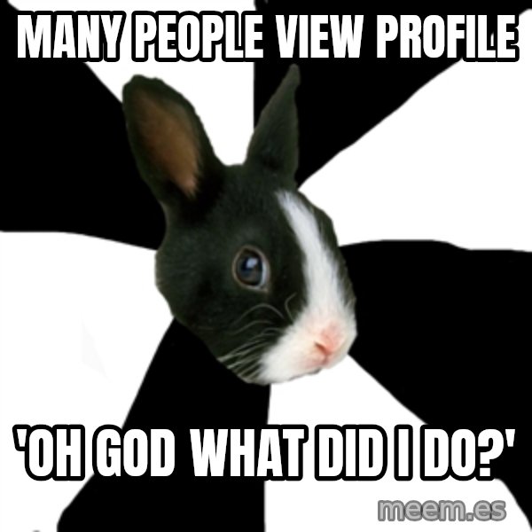 Roleplaying Rabbit meme: Many people View profile / 'oh god what did I do?'