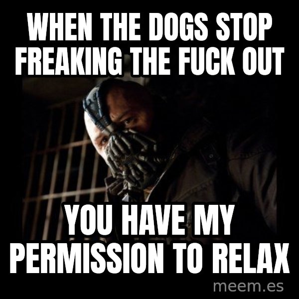 Bane Meme meme: when the dogs stop freaking the fuck out / you have my permission to relax