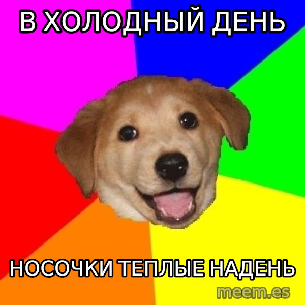 Advice Dog meme: в холодный день / носочки теплые надень