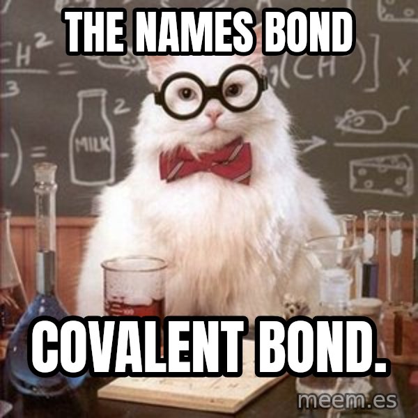 Chemistry Cat meme: The names bond / covalent bond.