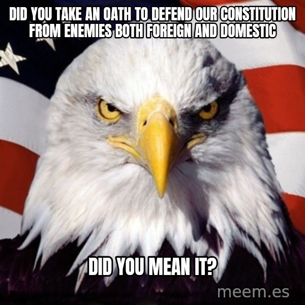 American Pride Eagle meme: did you take an oath to defend our constitution from enemies both foreign and domestic / did you mean it?